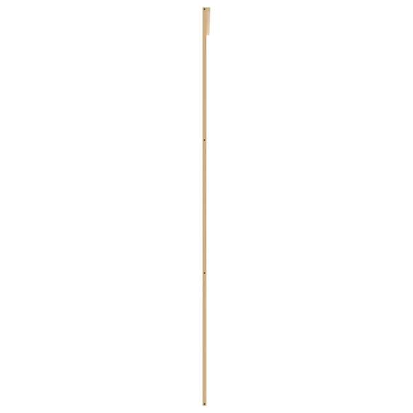 155170_4.jpg