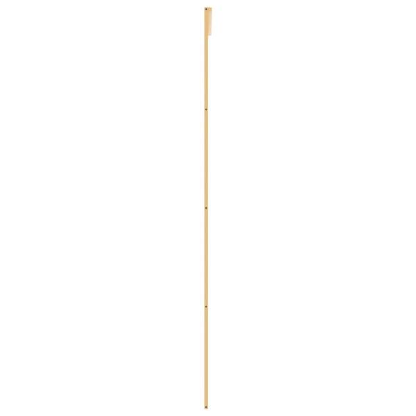 155193_5.jpg