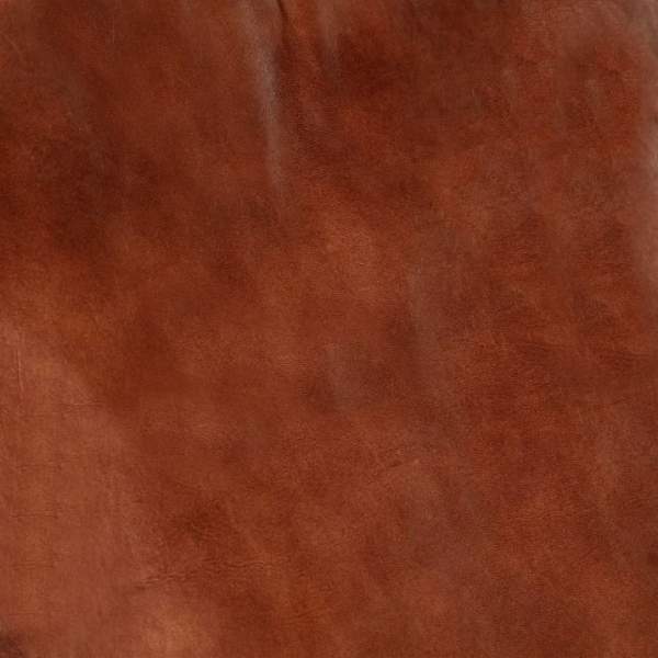 282906_5.jpg