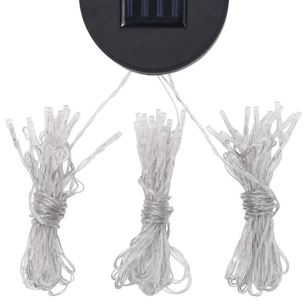 3070323_10.jpg