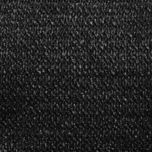 311745_9.jpg