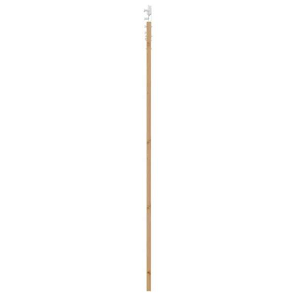 3331927_5.jpg