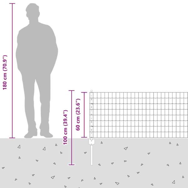 3335973_12.jpg