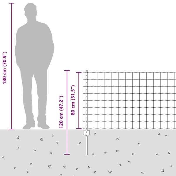 3335998_12.jpg