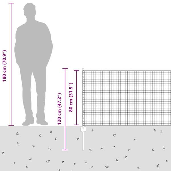 3336443_12.jpg