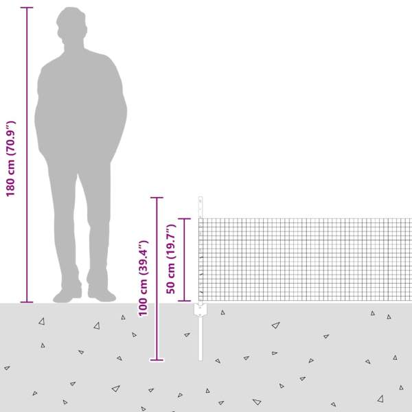 3336469_12.jpg