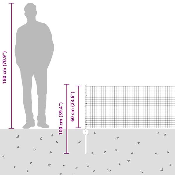3336592_12.jpg