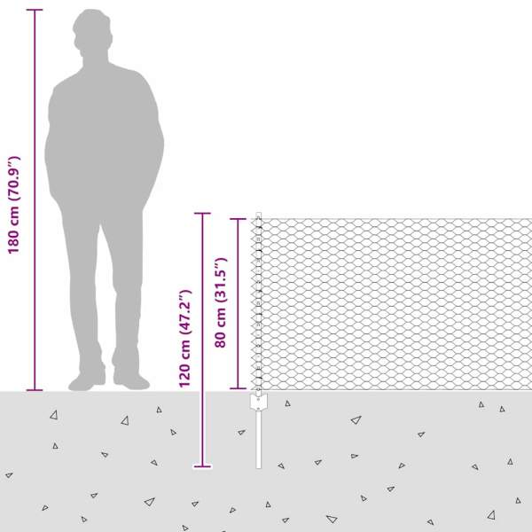 3336676_12.jpg