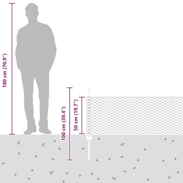 3336778_13.jpg