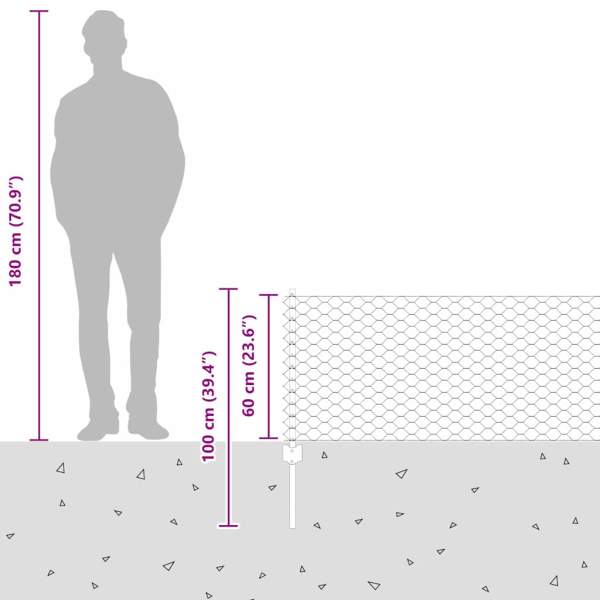3336783_13.jpg