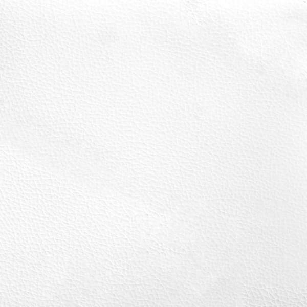 3369977_12.jpg