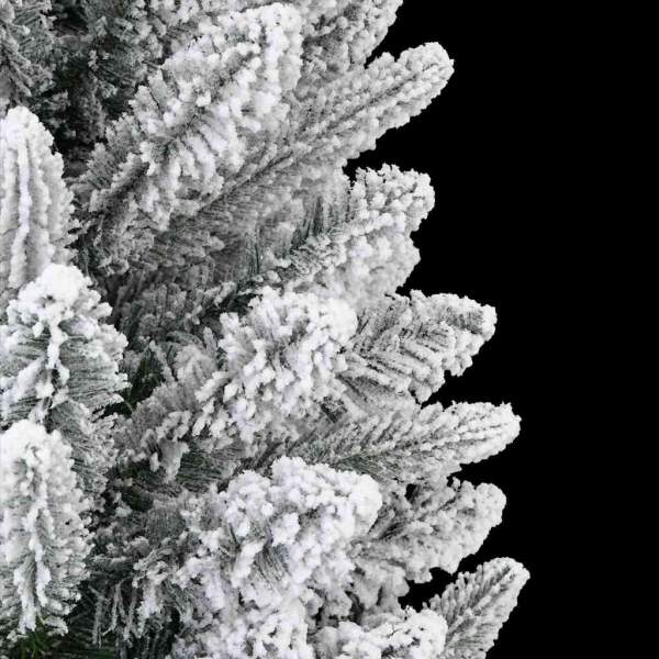 3396027_11.jpg