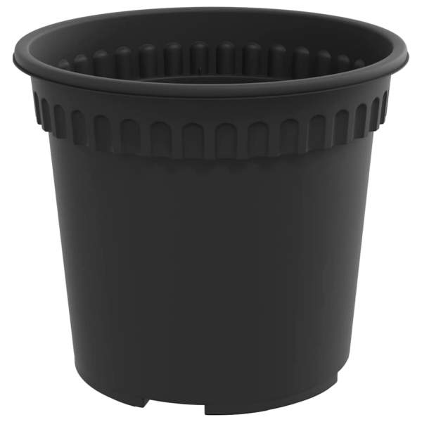 3403259_6.jpg