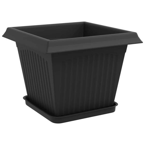 3403300_5.jpg