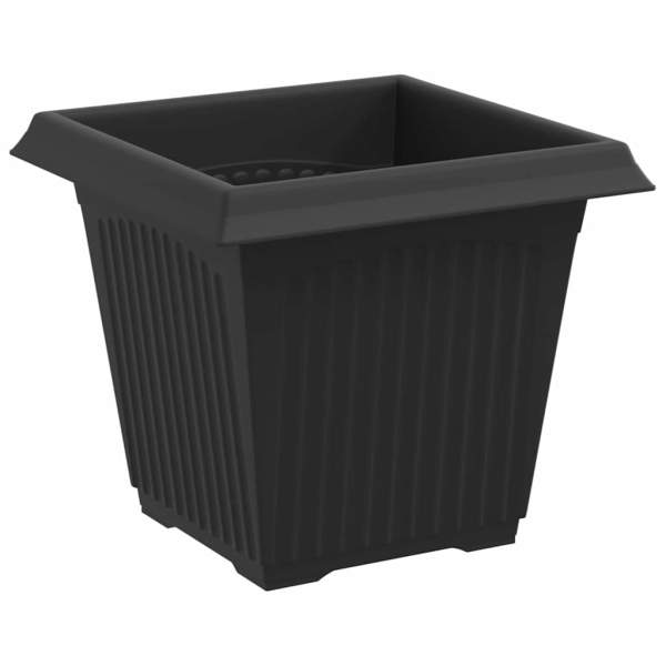 3403311_6.jpg