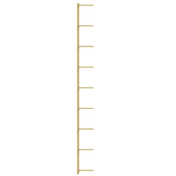 340901_6.jpg