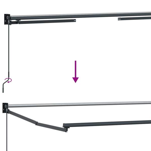 3419385_11.jpg