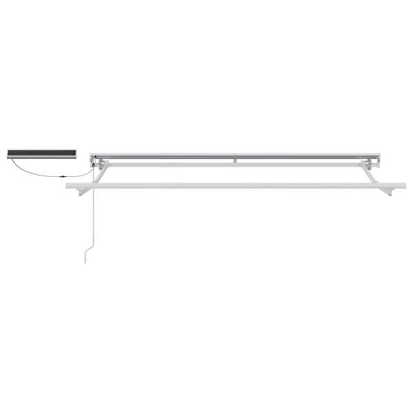 3421795_5.jpg