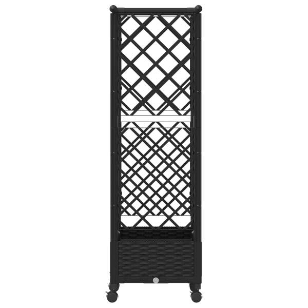 3423026_5.jpg