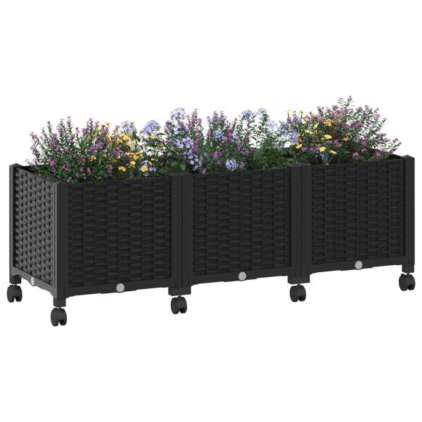 3423047_3.jpg
