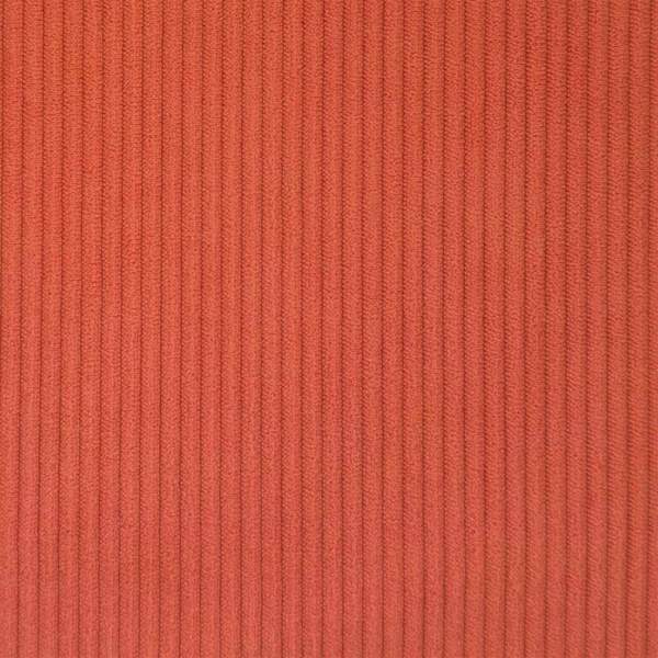 3424289_12.jpg