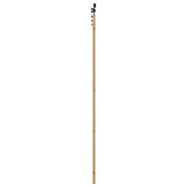 3445463_5.jpg