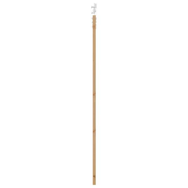 3445529_5.jpg