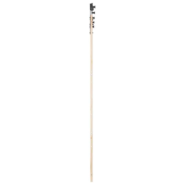 3445619_5.jpg