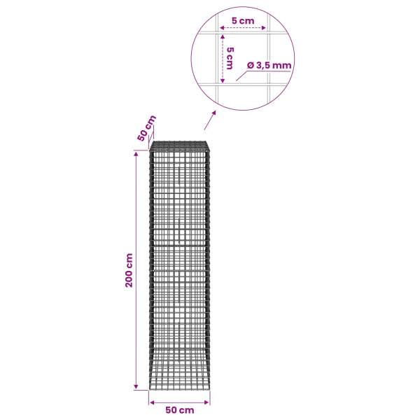 3462379_6.jpg