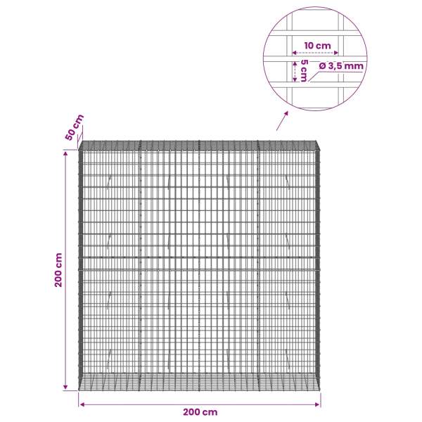3462862_6.jpg