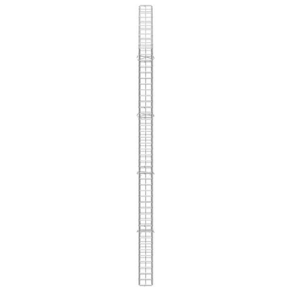 3464011_4.jpg