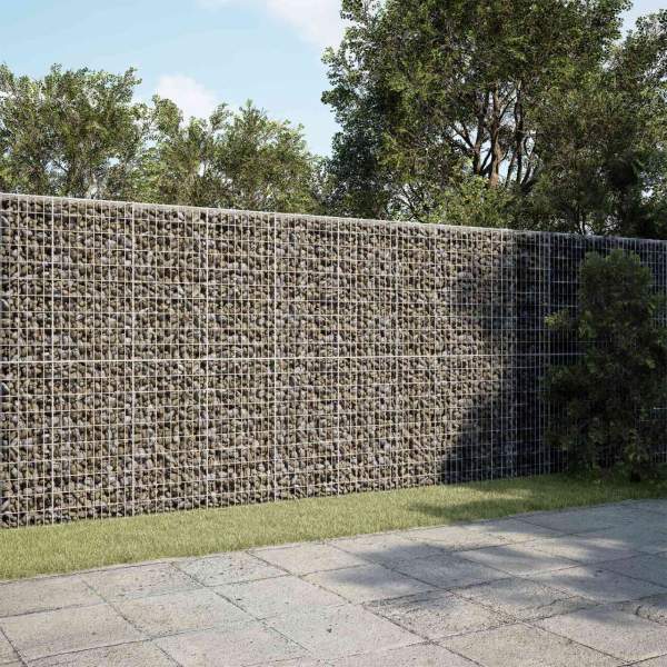 3464499_1.jpg