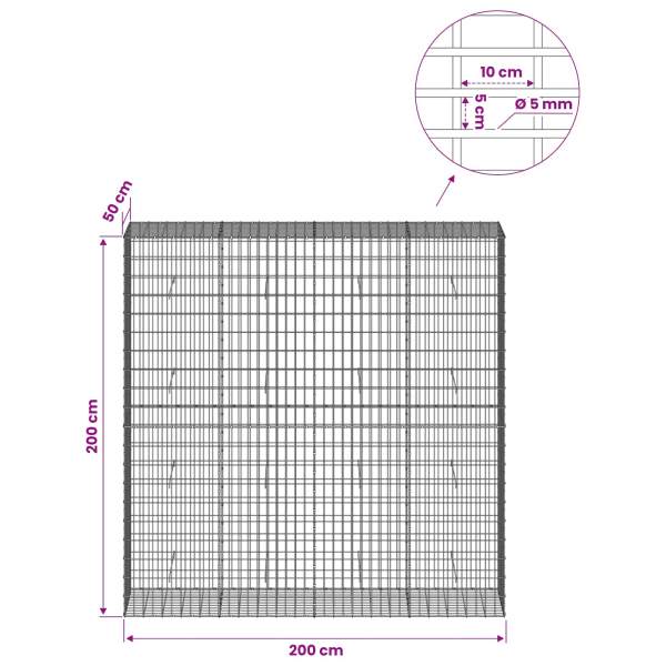 3464782_6.jpg