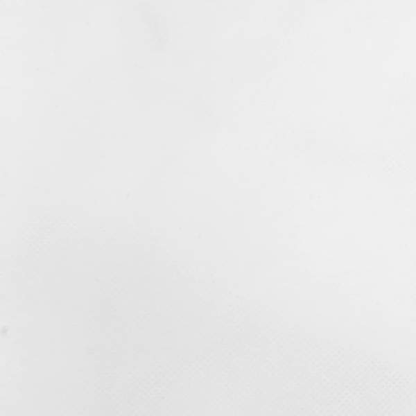 364864_8.jpg