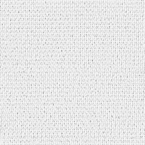 4002889_4.jpg
