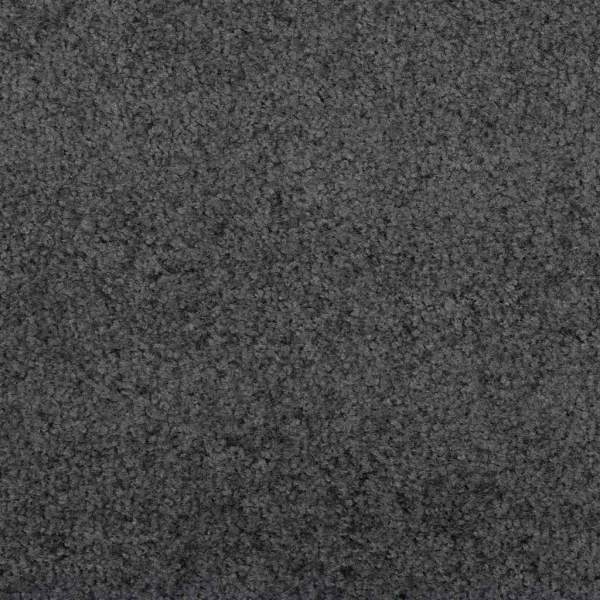 4100723_6.jpg