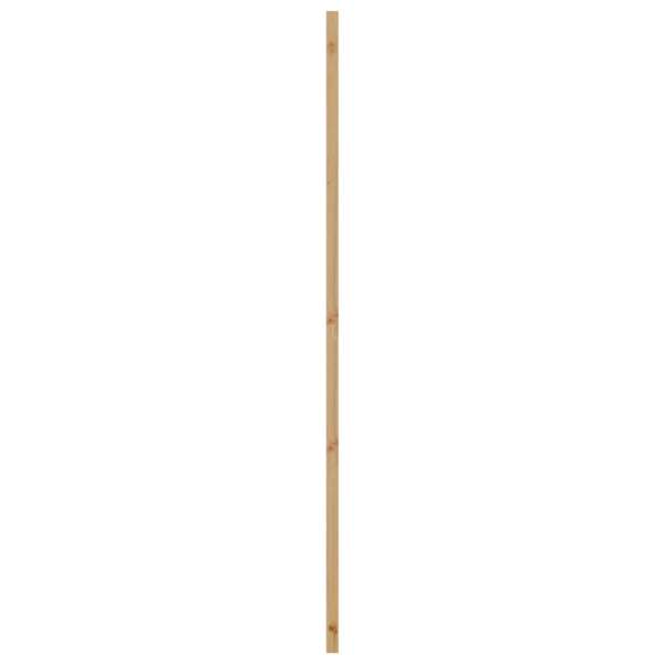 4102681_8.jpg