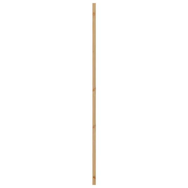 4102703_7.jpg