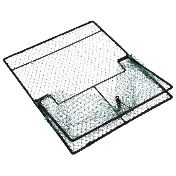 4104930_2.png