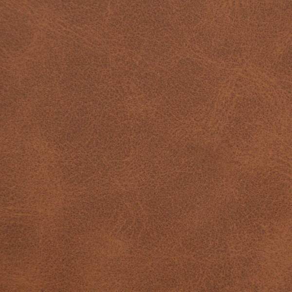 42031372_10.jpg