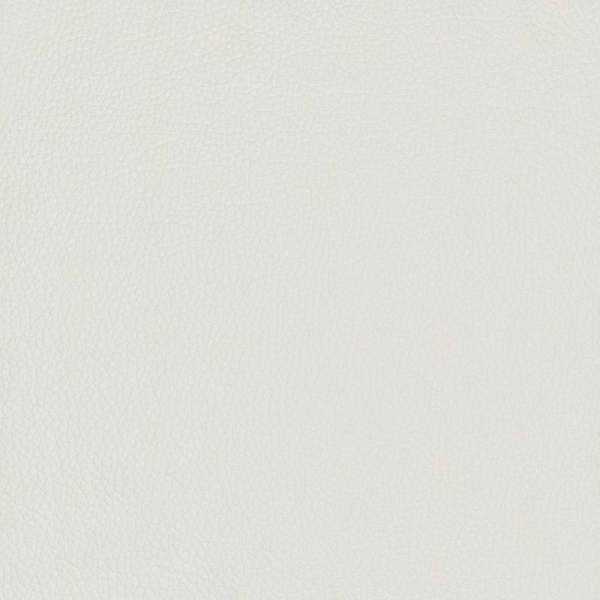 42031577_10.jpg