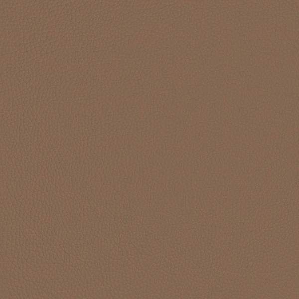 42031710_10.jpg