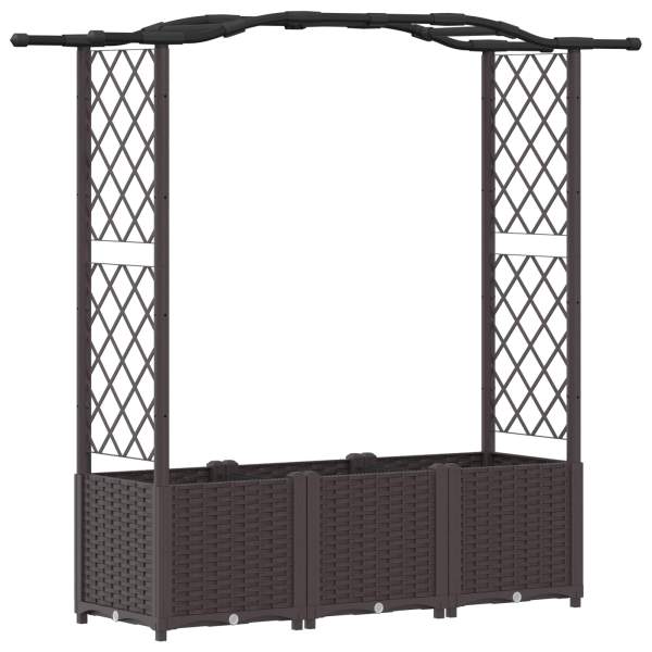 42032507_2.jpg