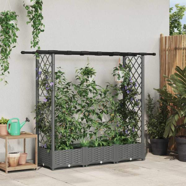 42032588_1.jpg
