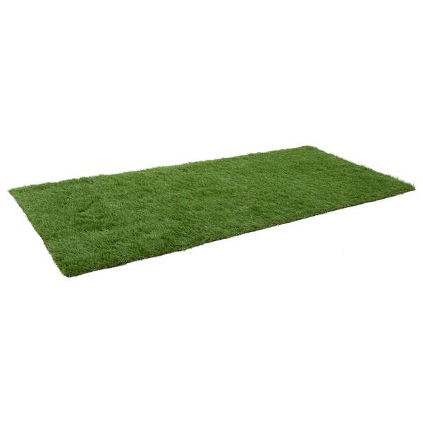 42033142_4.jpg