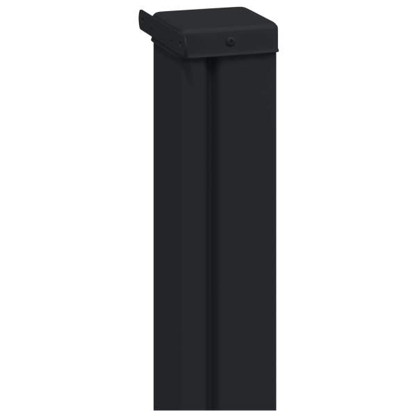 42035520_4.jpg