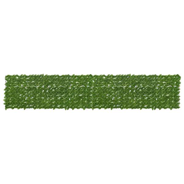 42040639_1.jpg