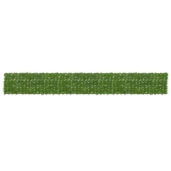 42040641_1.jpg