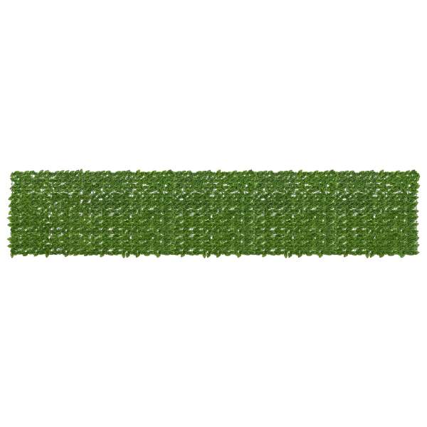 42040645_1.jpg