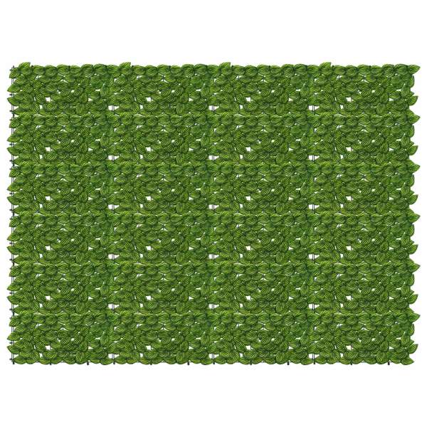 42040647_1.jpg